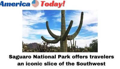 Saguaro National Park offers travelers an iconic slice of the Southwest