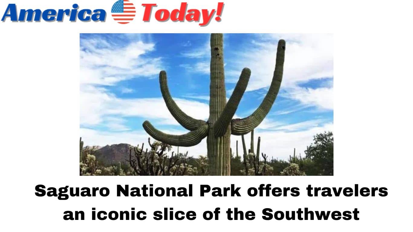 Saguaro National Park's King Canyon Trail offers breathtaking views of the desert and mountains in the distance