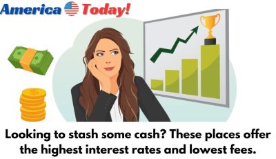 Looking to stash some cash? These places offer the highest interest rates and lowest fees.