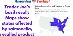 Trader Joe’s basil recall: Maps show states affected by salmonella, recalled product
