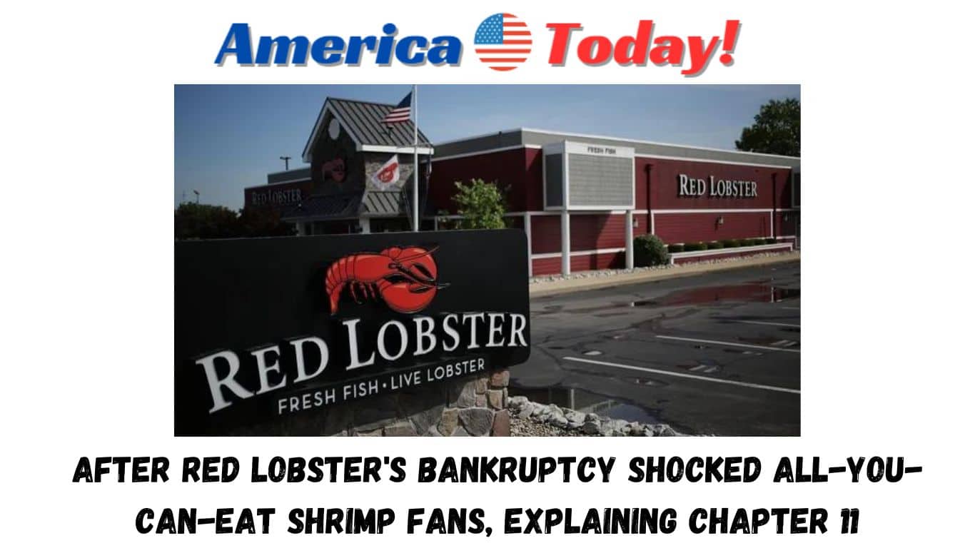After Red Lobster's bankruptcy shocked all-you-can-eat shrimp fans, explaining Chapter 11