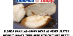 Florida bans lab-grown meat as other states weigh it: What’s their beef with cultured meat?