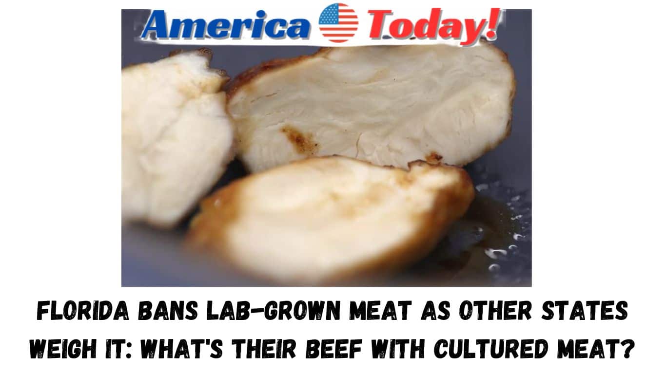 Florida bans lab-grown meat as other states weigh it: What's their beef with cultured meat?